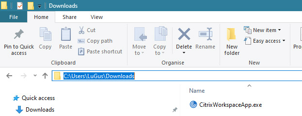 Finding the path to Citrix installer